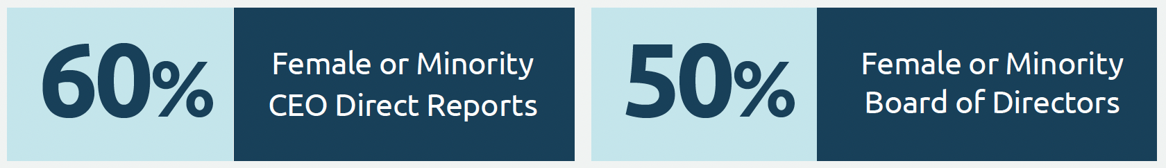 Diversity and Inclusion stats