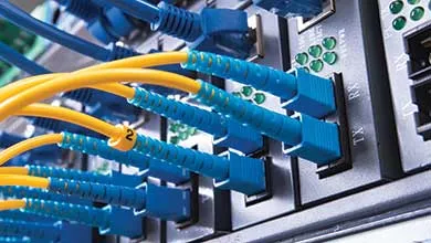 Close-up of blue and yellow fiber optic cables connected to a network switch.