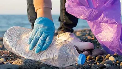 A gloved hand picking up a discarded plastic bottle from a rocky shoreline with the ocean in the background.