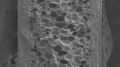 Grayscale scanning electron microscope image of a porous material cross-section, showing many irregularly sized round and oval cavities within a solid matrix.