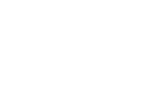 75% Spin Dyed Textile Yarn Renol™ Spin Dying Colorants LEARN MORE